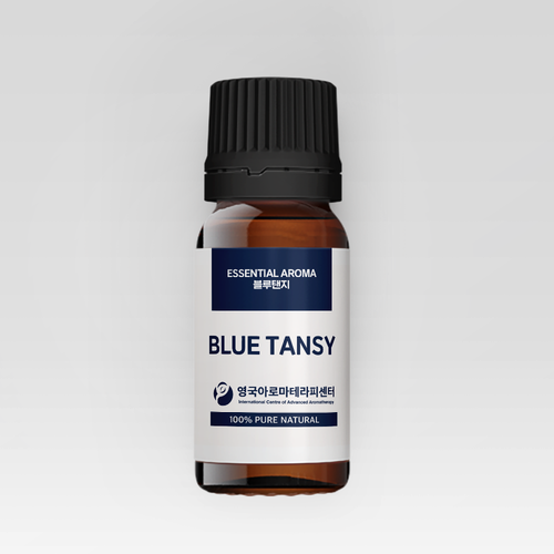 블루탠지(Blue Tansy/Tanacetum annuum)